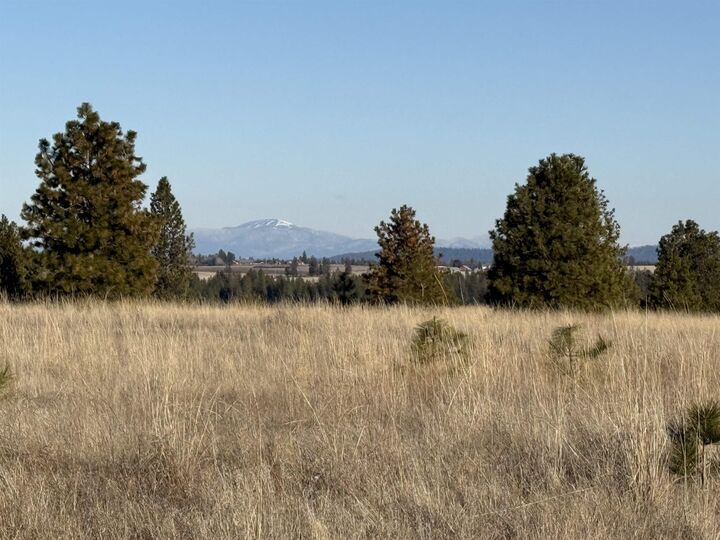 Property Photo:  15211 N Wood Rd  WA 99026 