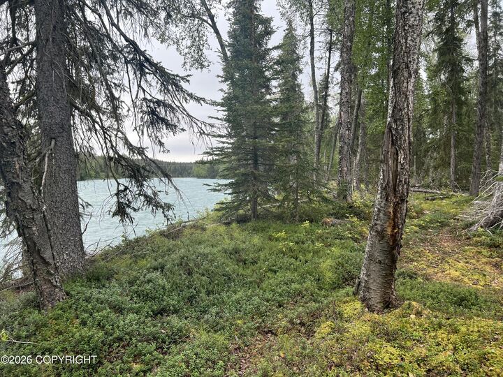 Property Photo: L2 Jackie Ann Street AK 99610
