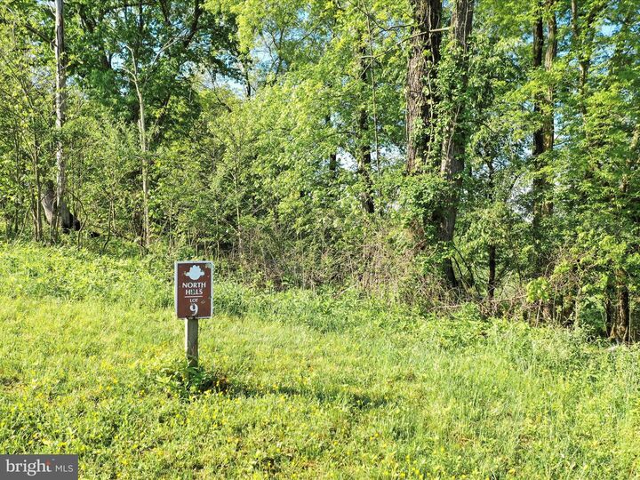 Property Photo:  Briar Mountain Drive Lot 9  WV 25443 