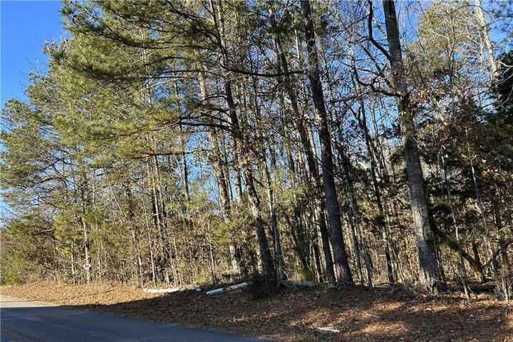 Property Photo:  25 Skyview Drive  GA 30025 