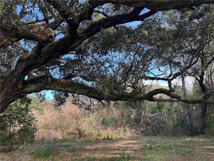 Property Photo:  26702 County Road 54 Road  AL 36526 