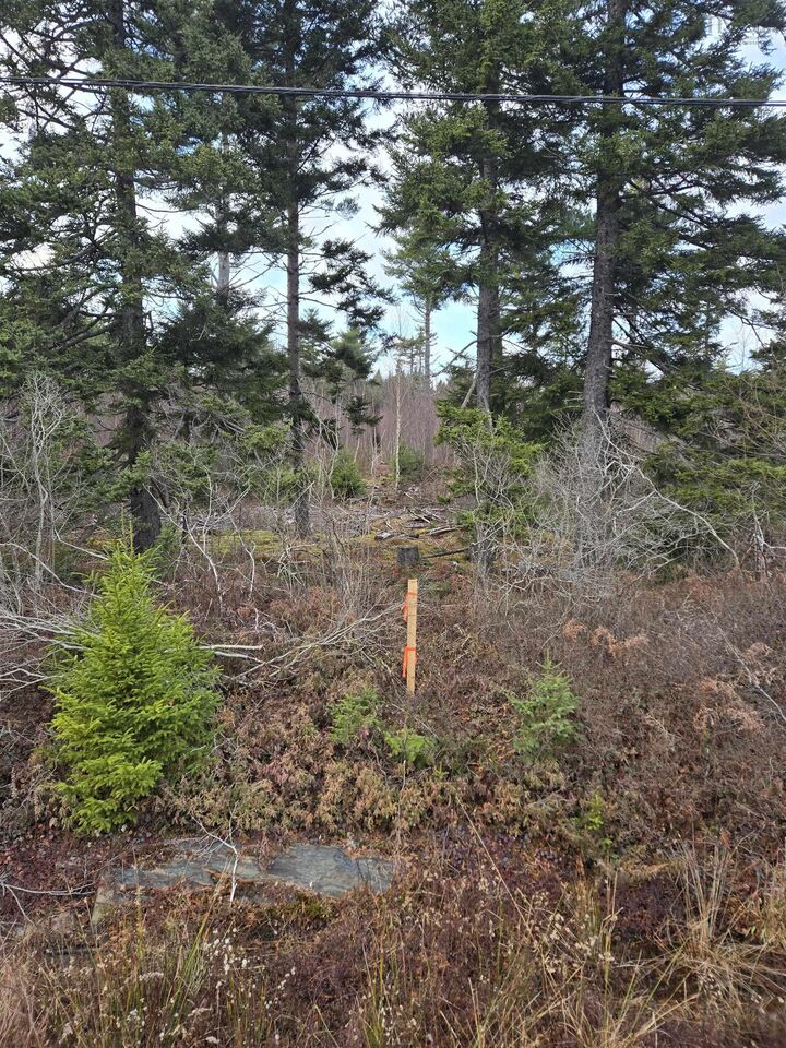 Property Photo:  Lot P-2 Mount Pleasant Road  NS B0R 1G0 