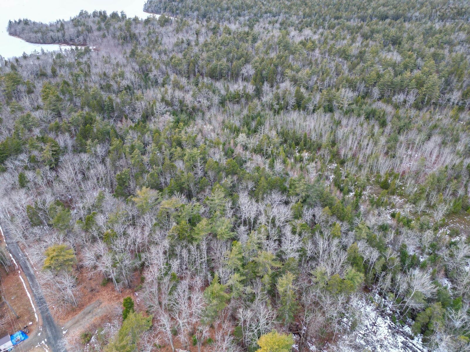Property Photo:  Lot 73 Judy Avenue  NS B0W 3M0 