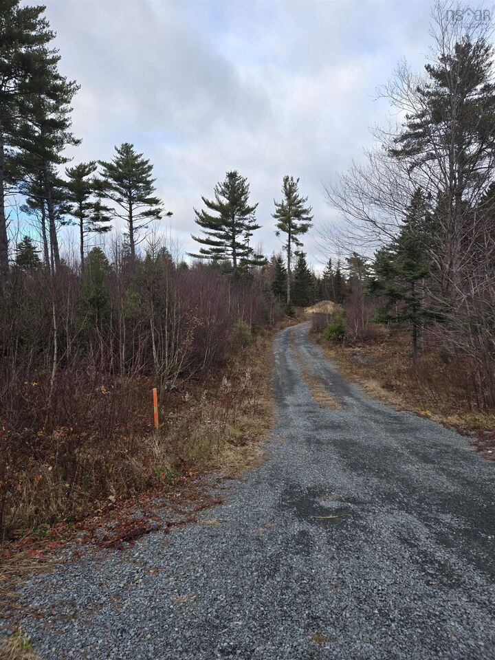 Property Photo:  Lot P-1 Baker Road  NS B0R 1G0 