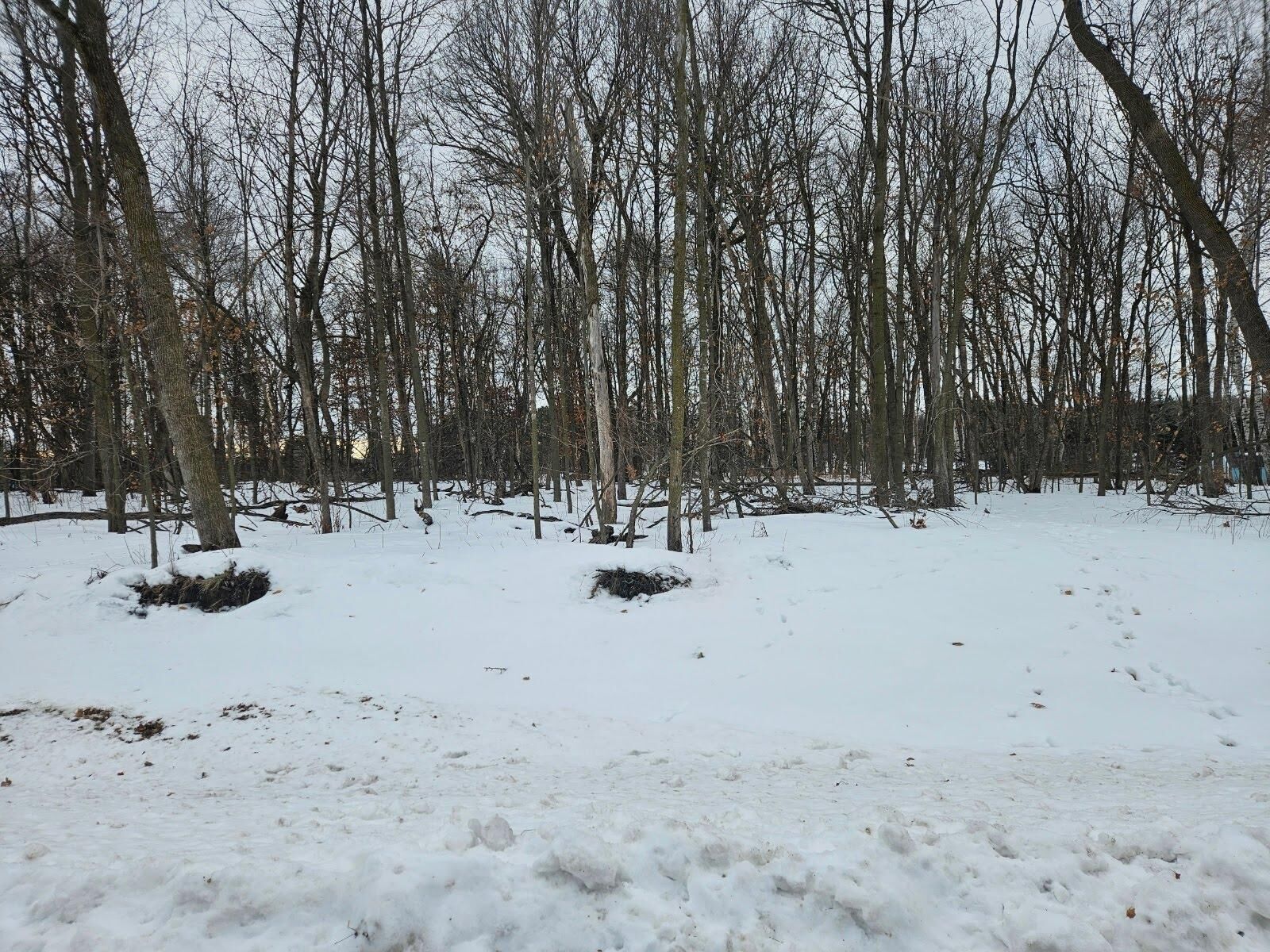 Property Photo:  Lot 1, Block 3 2 1/2 Avenue NE  MN 56375 