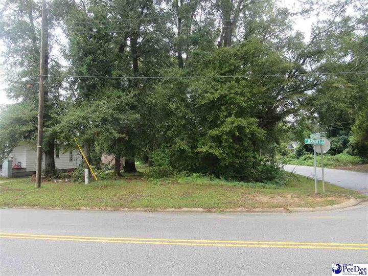 Property Photo:  458 Jarrott St.  SC 29506 