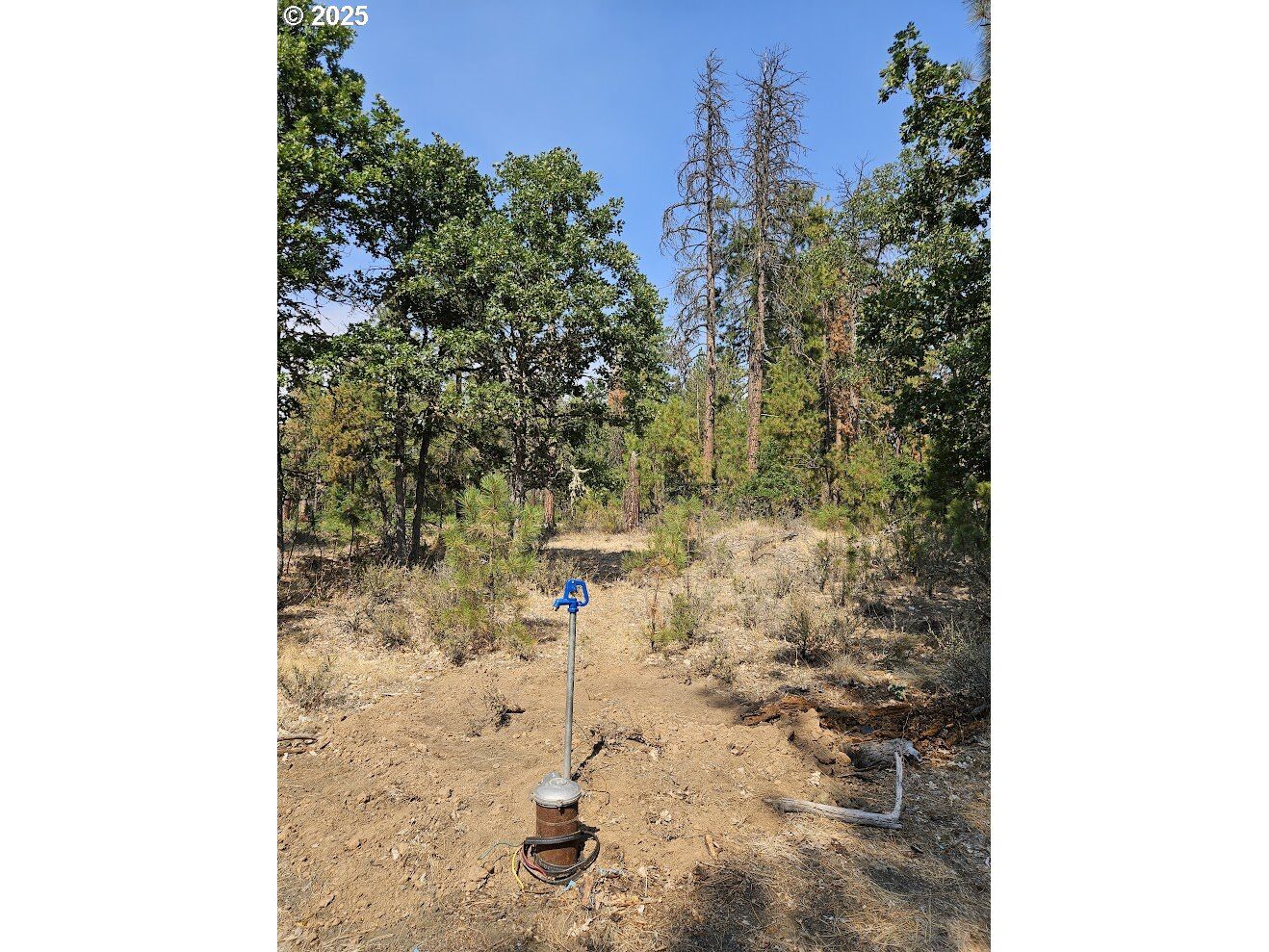 Property Photo:  Hawks Wind Rd 1  WA 98620 