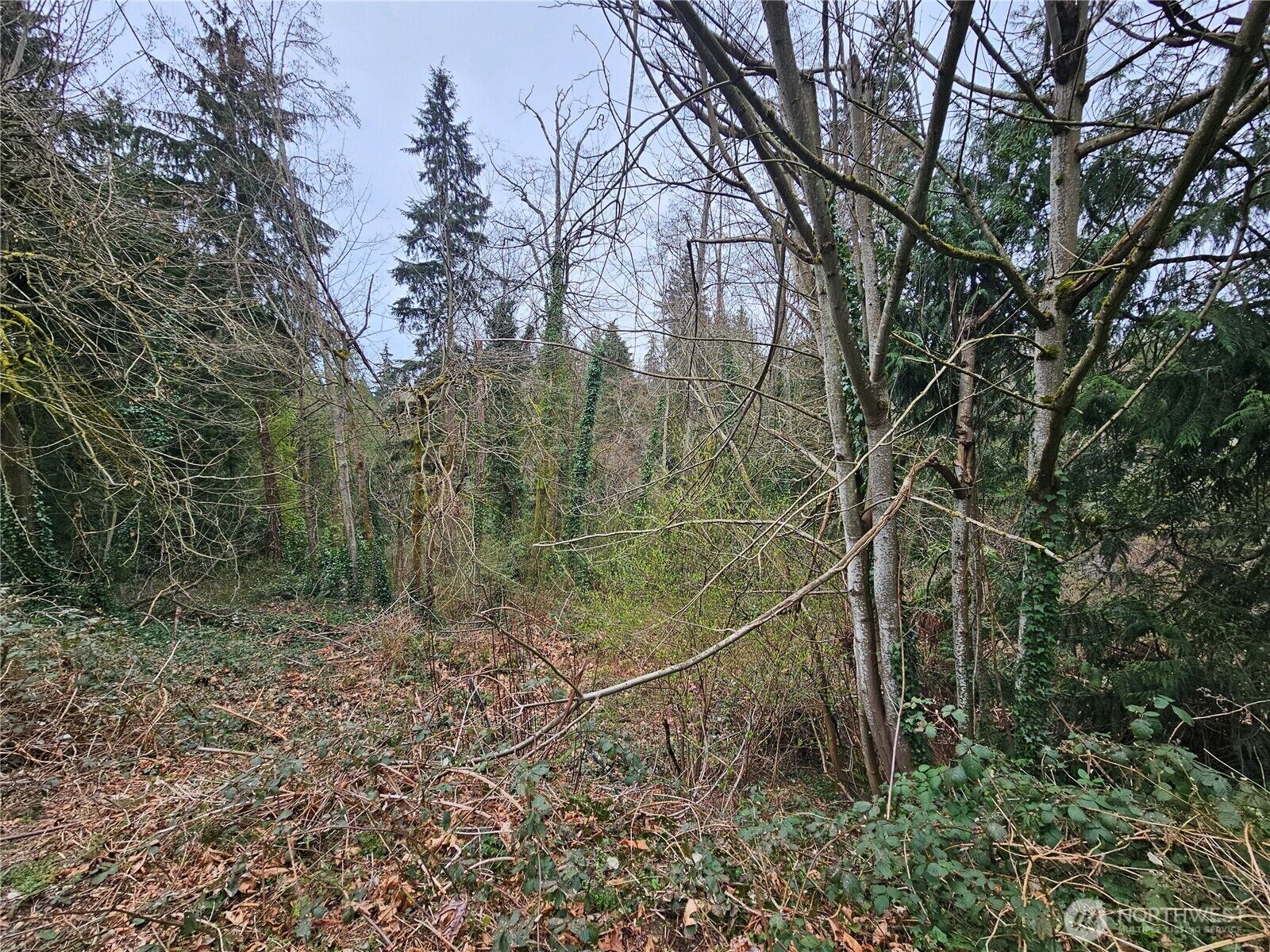 Property Photo:  194  Xx Forest Park Drive NE  WA 98155 