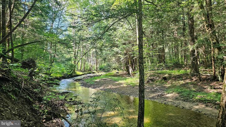 Property Photo:  69.90 Acres Mahaffey Grampian Highway  PA 15757 