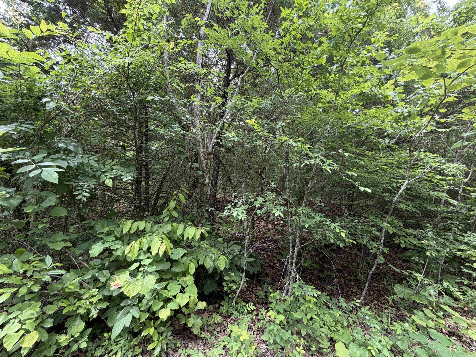 Property Photo: 001 Clark Lane AR 72512