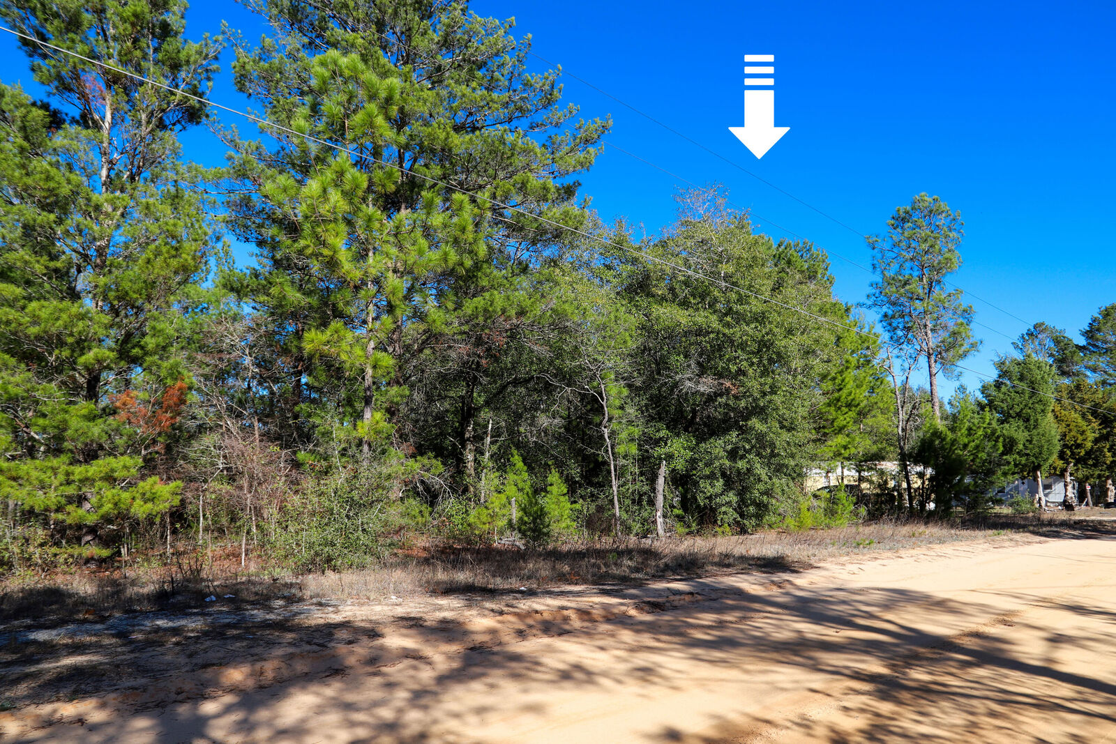Property Photo:  Lot 23 E Marigold East Avenue  FL 32433 