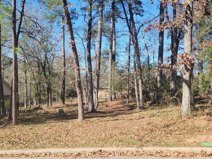 Property Photo:  1909 Rollingwood Drive  TX 77340 