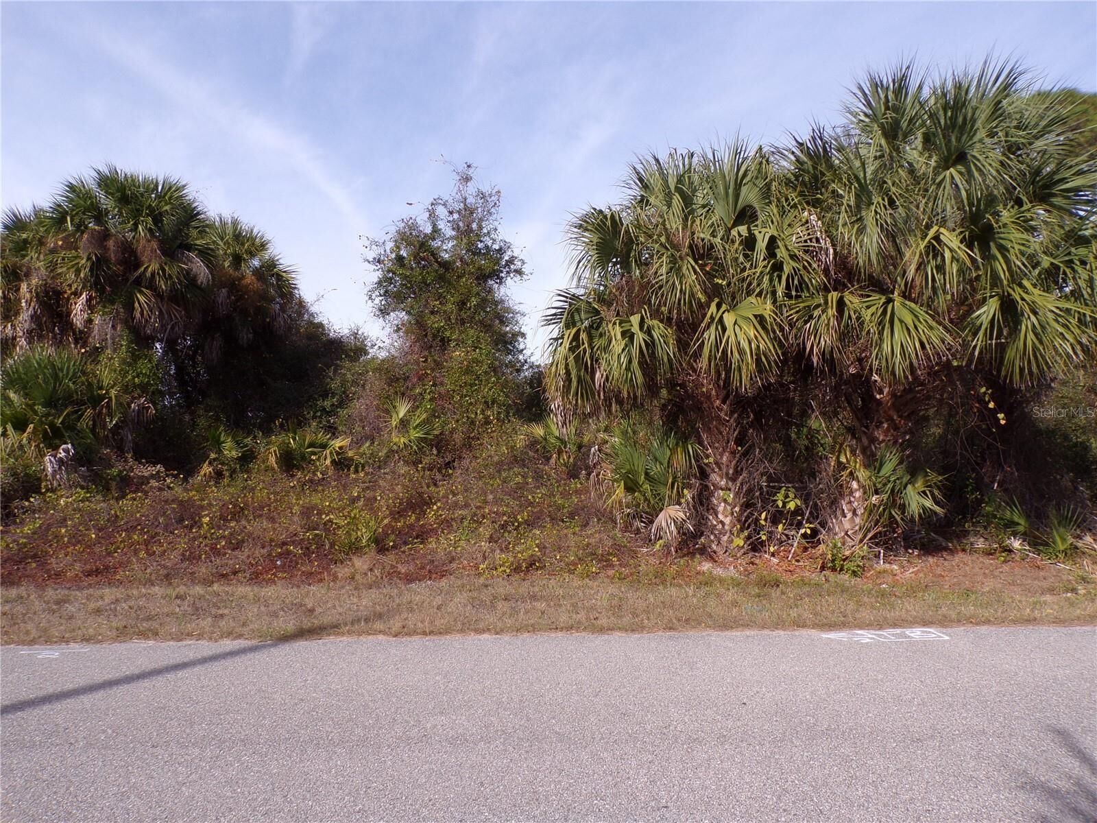 Property Photo:  Brewster Road  FL 34288 