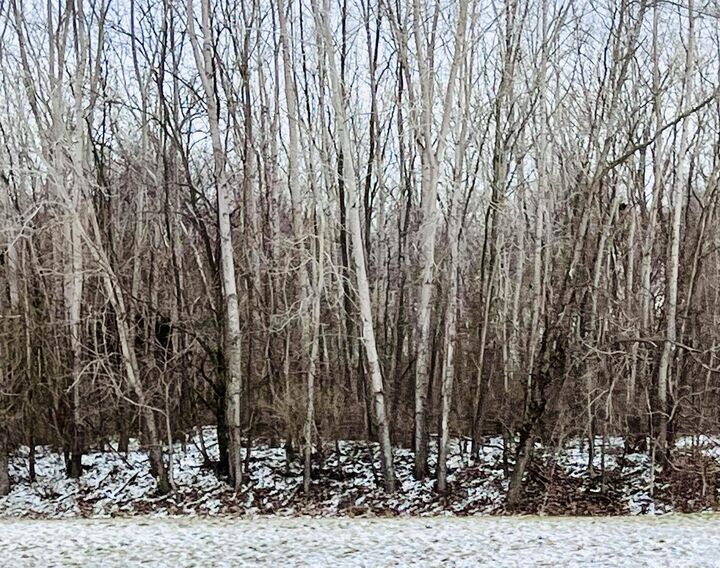 Property Photo:  56660 Tanner Trail  MI 49093 