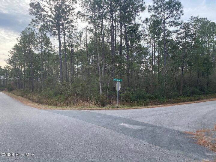 Property Photo: L-70&Ampl-71 Sweetbrier Road NC 28461