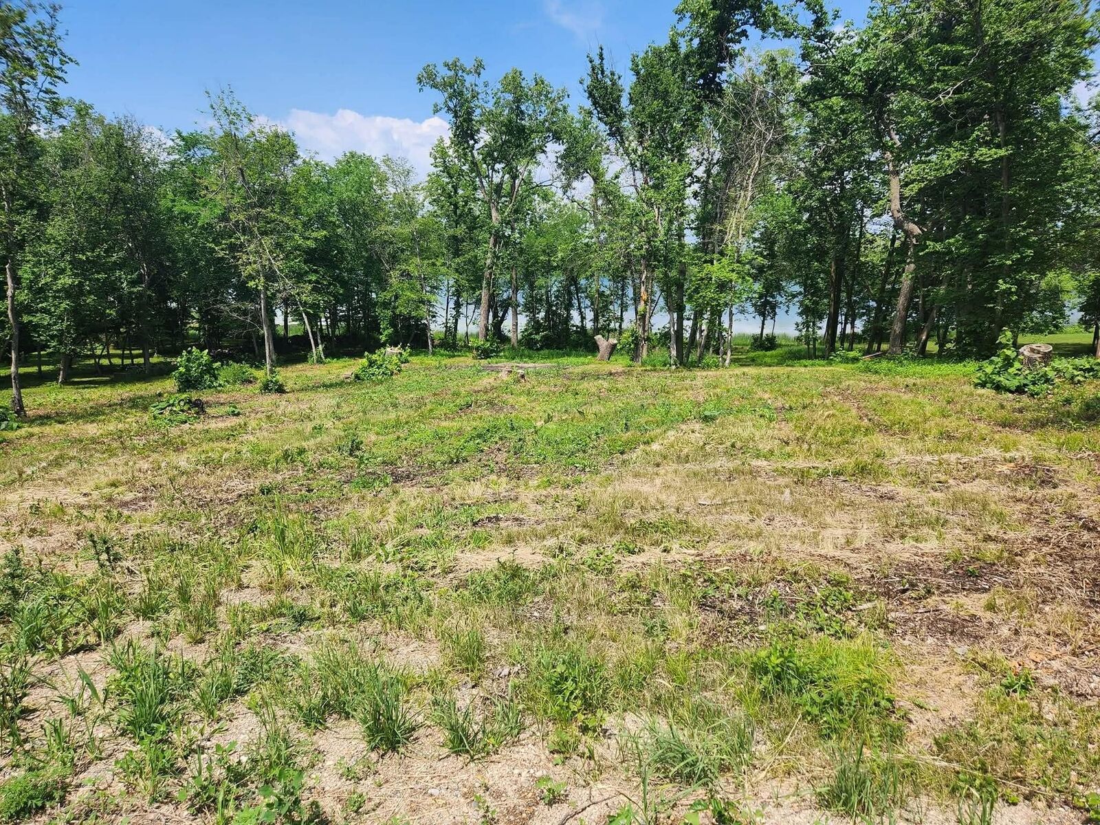 Property Photo:  Lot 2 125th Street  MN 56324 