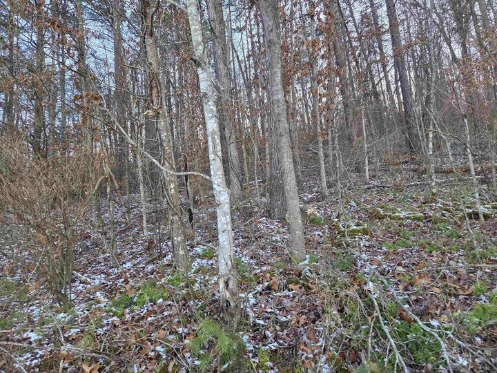 Property Photo: D Street KY 41230