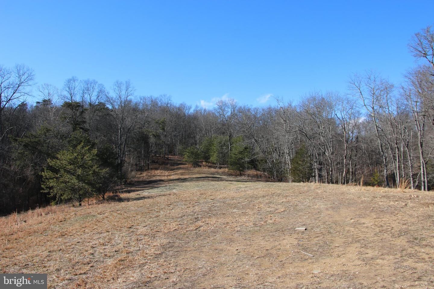 Property Photo:  Siler Road  VA 22603 