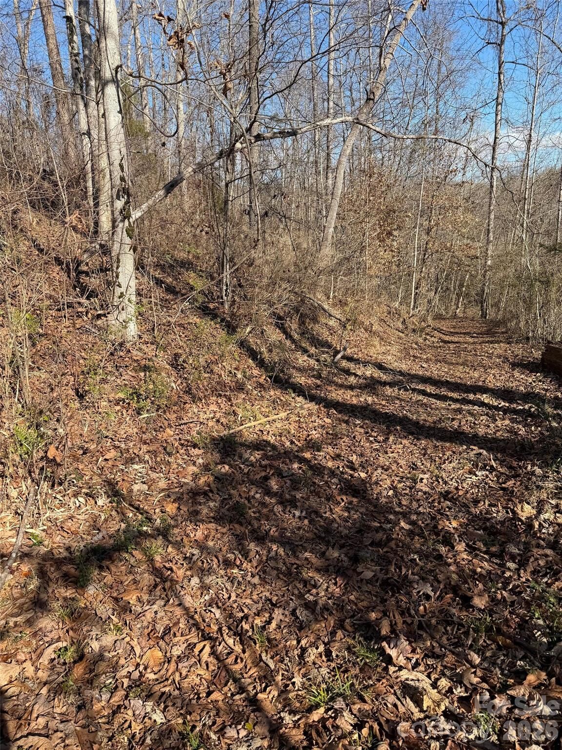 Property Photo: 000 E Rambling Creek Road 11 NC 28782