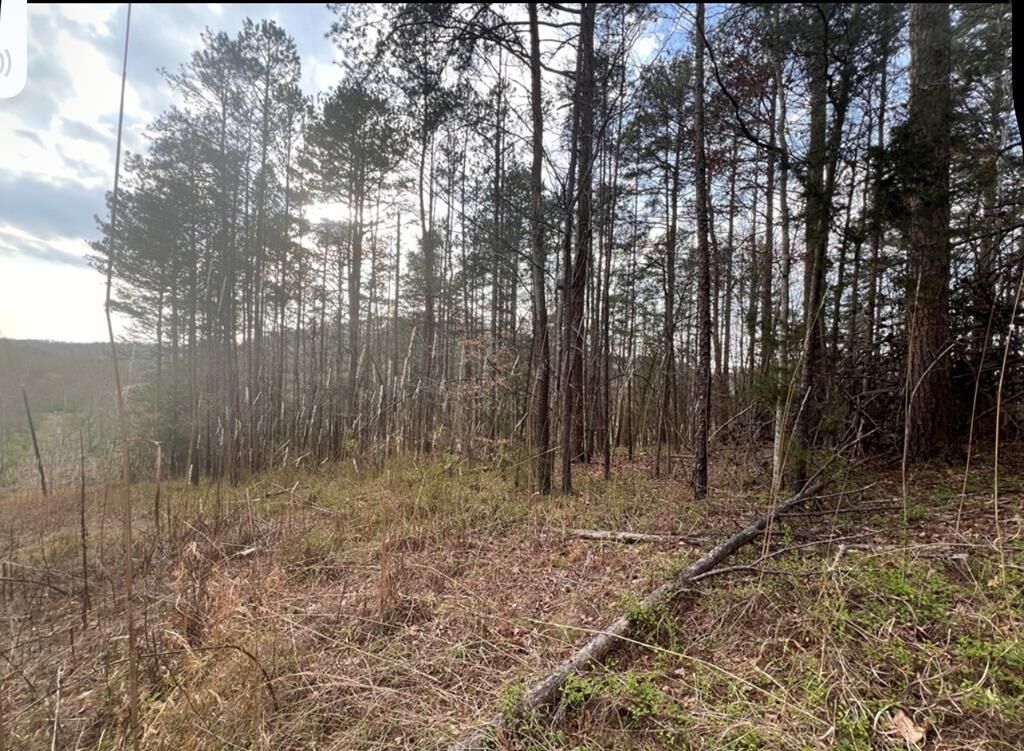 Property Photo:  0 Cynthia Chapel Rd  KY 41230 