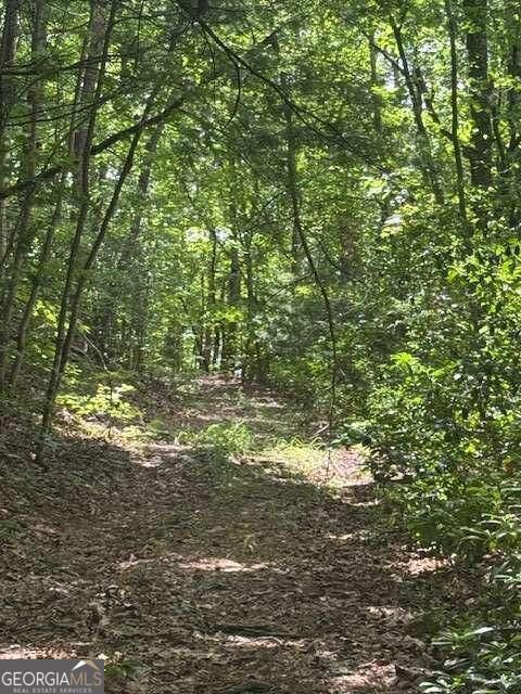 Property Photo: 10.96 Ac Paramount Trail GA 30536