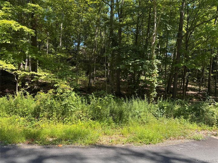 Property Photo: 17 Vanessa Lane NY 12580
