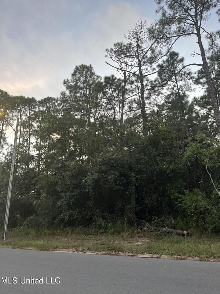 Property Photo:  0 Greenwood Drive  MS 39571 