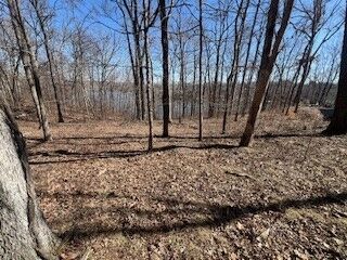 Property Photo:  Lot 244 Parrish Ridge Lane  IL 62939 