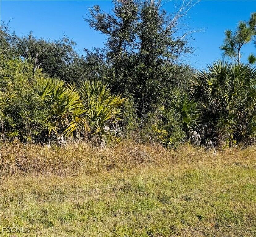Property Photo:  12096 Dubarry Avenue  FL 33981 