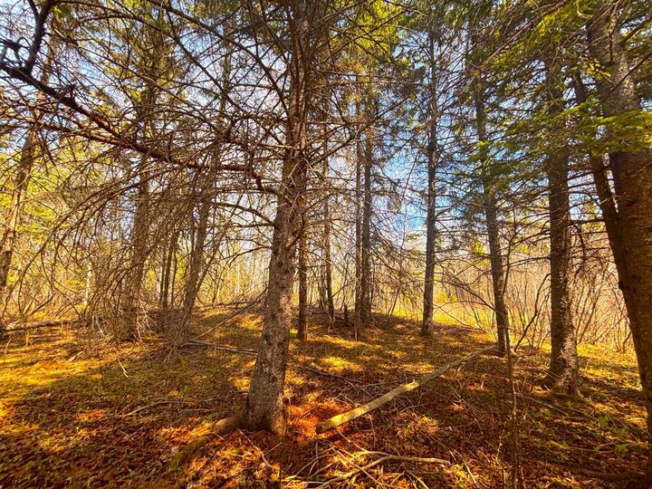 Property Photo:  846xx Lenawee Road  WI 54844 