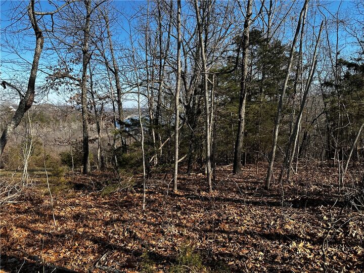 Property Photo:  Lot 21 Anchor Drive  AR 72756 