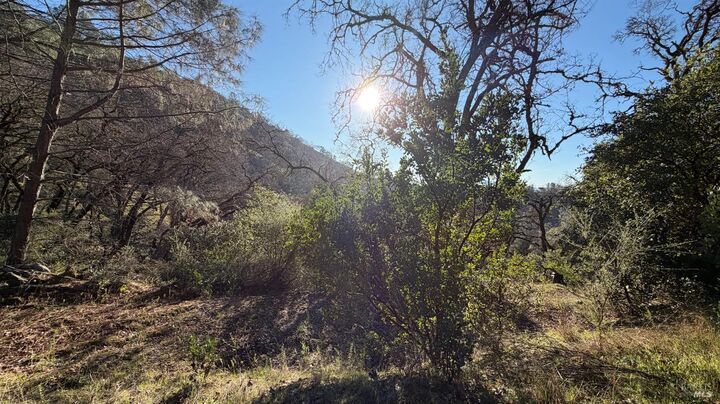 Property Photo:  3315 Filmore Street  CA 95464 