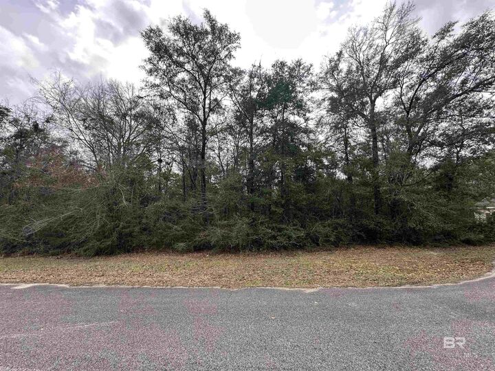 Property Photo:  0 Timber Springs Drive  AL 36587 