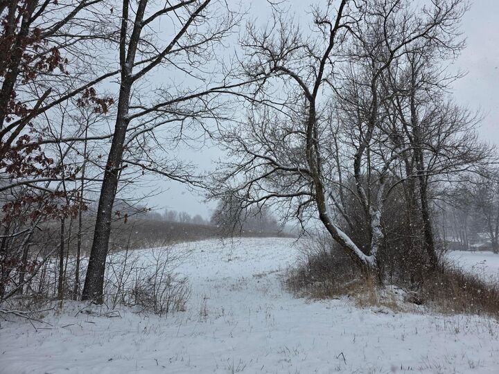 Property Photo:  0 Riggle Road  OH 44813 