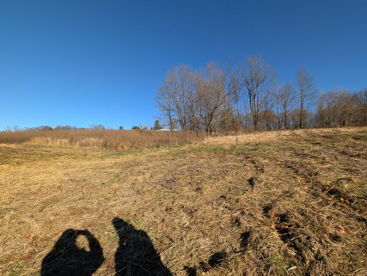 Property Photo:  0 Riggle Road  OH 44813 