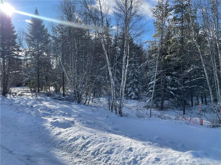 Lot 74-6 Honey Street — photo 1