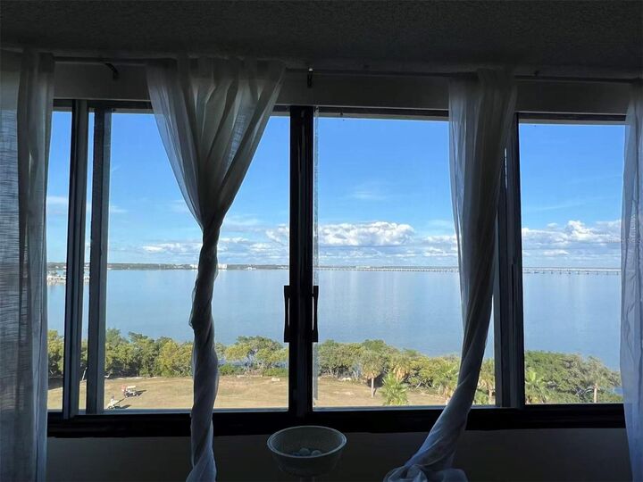 Property Photo:  2618 Cove Cay Drive 909  FL 33760 