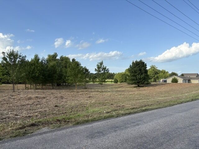Property Photo: 000 Lavern Road IL 62924