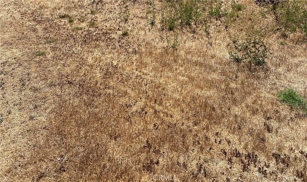 Property Photo:  0 Vac/Ave G/Vic 125 Stw  CA 93536 