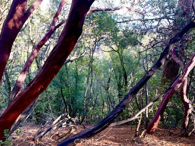 Property Photo: 7333 Tehama CA 95464