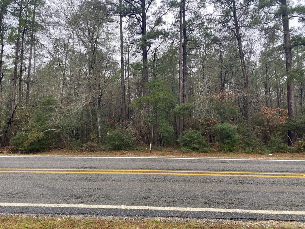 Property Photo: Tbd Fm 2497 TX 75941