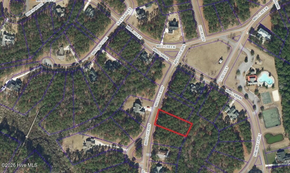 Property Photo:  91 97 Wild Cherry Lane  NC 28510 