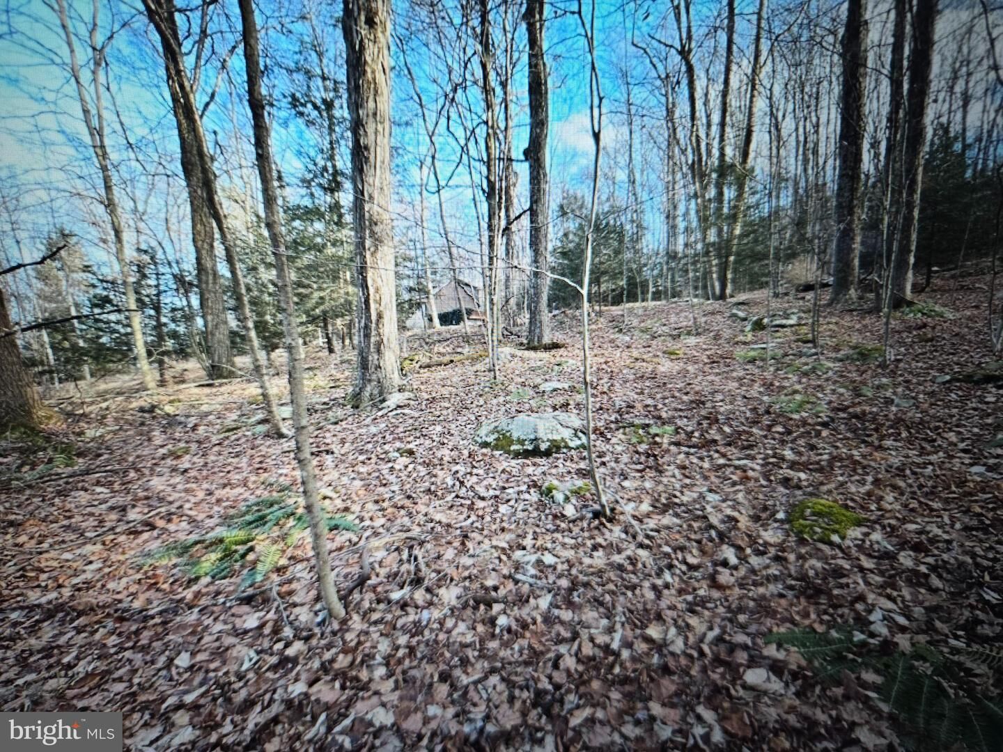 Property Photo:  05 Outlet Rd  PA 18618 