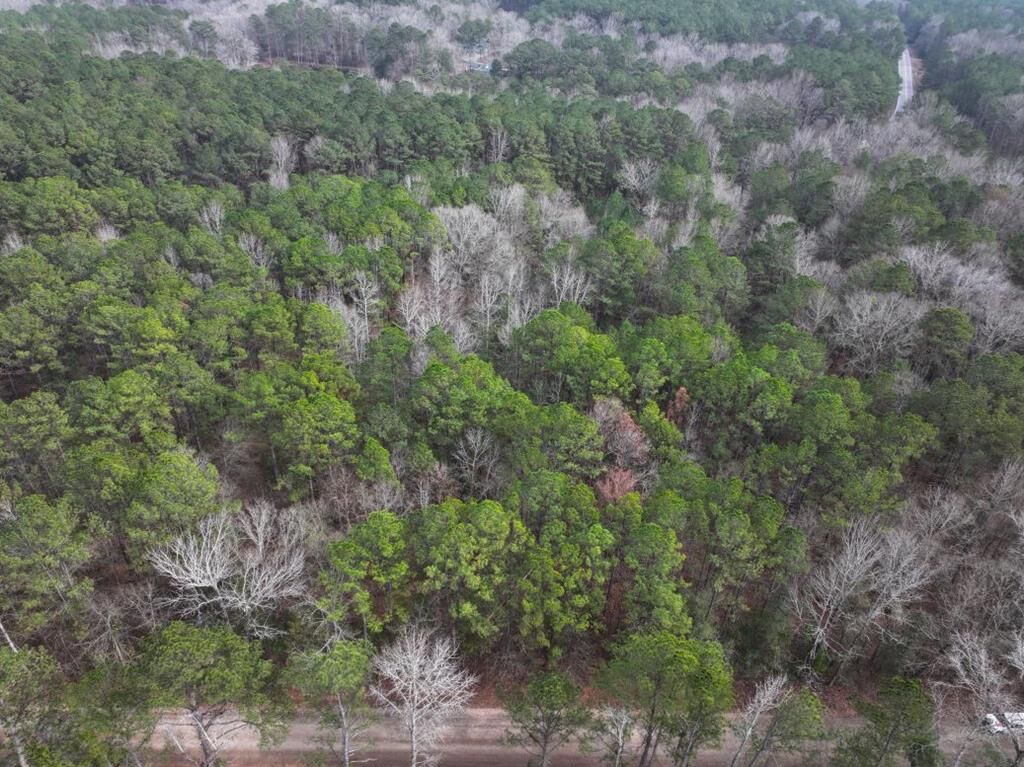 Property Photo:  Lot 1 Silva Drive  GA 31811 