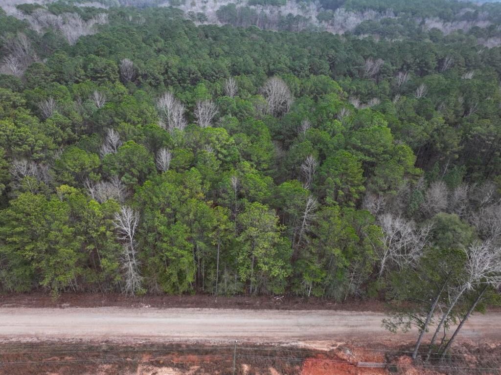 Property Photo:  Lot 3 Silva Drive  GA 31811 