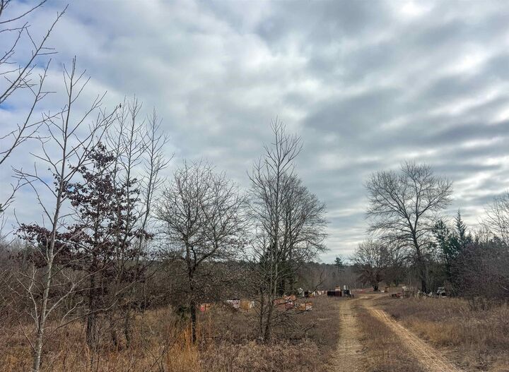 Property Photo:  Tbd Cr 2619  TX 75566 