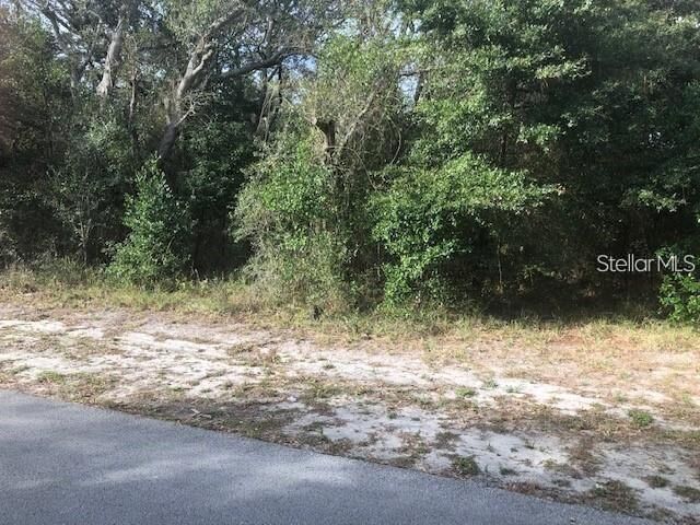 Property Photo:  189 Candlewick Avenue  FL 34608 