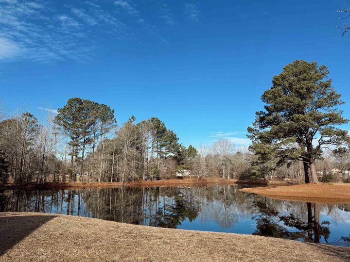 Property Photo: 30019 Guyton Road MS 38821
