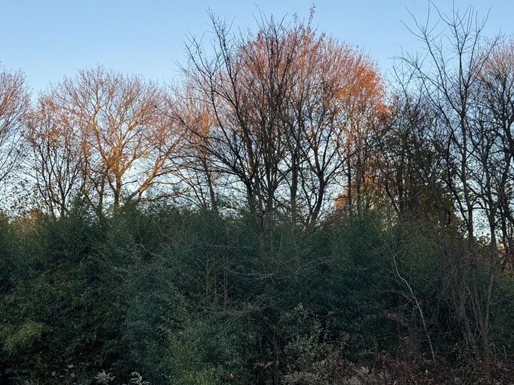 Property Photo:  Lot 3 Lawler Ln  MA 02072 