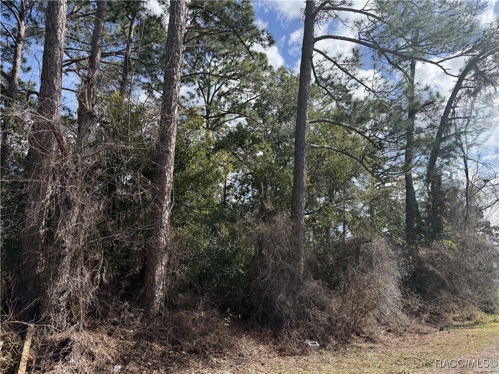 Property Photo:  Tbd SE 190th Avenue  FL 34488 